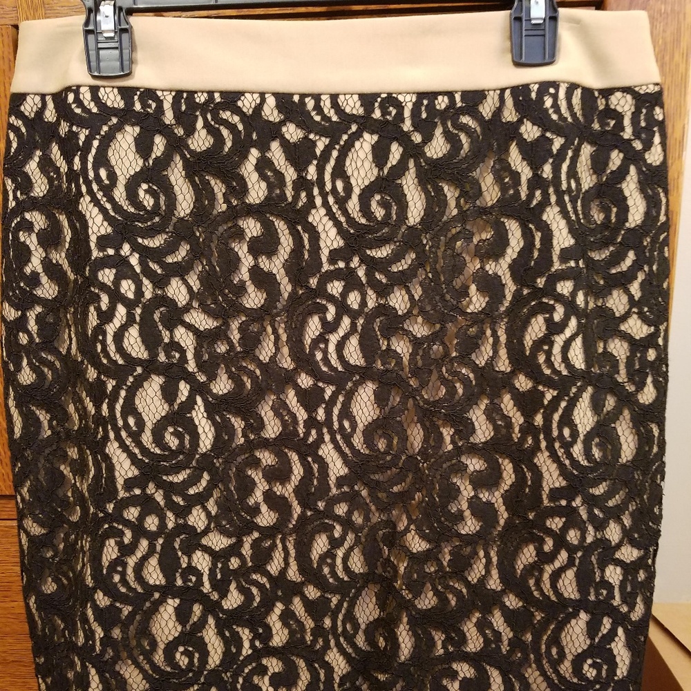 Loft Curvy Fit Skirt - NWT